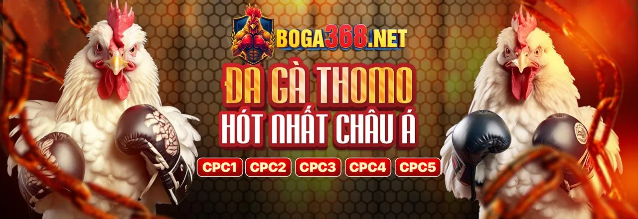 Hình ảnh giới thiệu 288 bet, một nền tảng giải trí trực tuyến uy tín