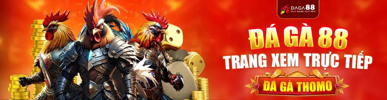 Tin tức và cập nhật mới nhất từ 288 bet